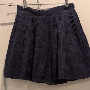 Elegant Navy Pleated Skirt Korea Purchased